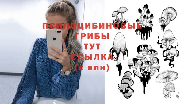 прущая мука Нязепетровск