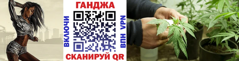 Конопля сатива  купить наркоту  Торжок 